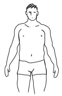 Figura Normale Uomo
